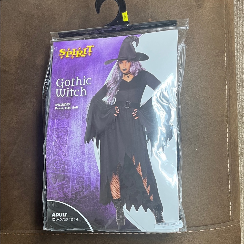 Spirit Gothic Witch Women’s Costume - Black